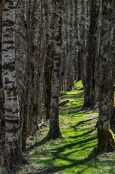 Ostello Landarenca Bagian luar foto