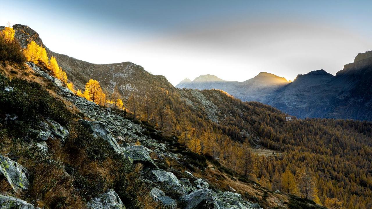 Ostello Landarenca Bagian luar foto